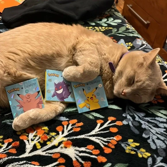 Pokemon x Colourpop Cream Blush Set - Picture 2 of 2